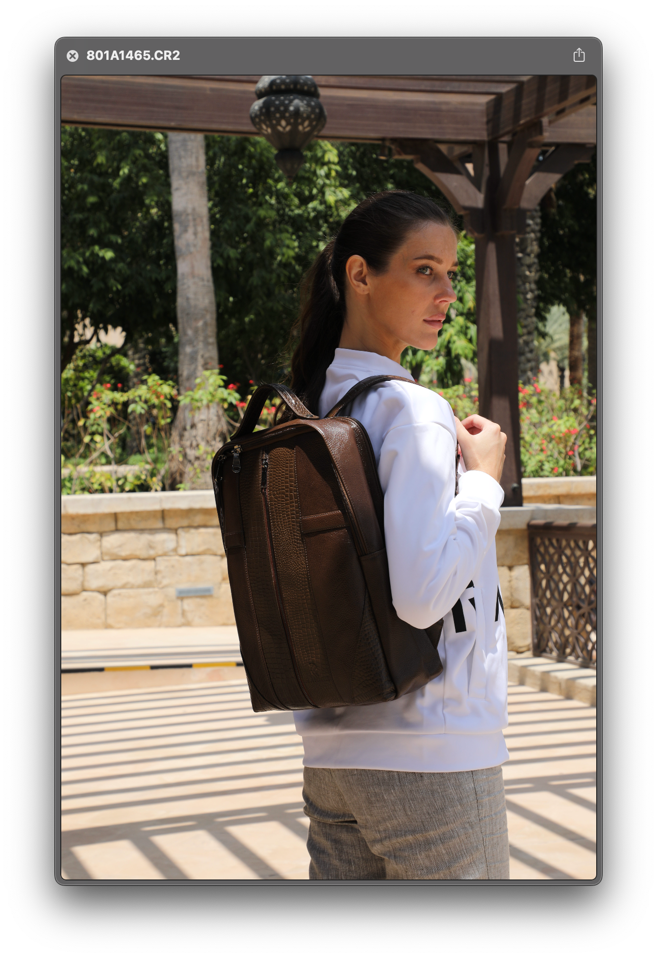 Backpack - Brown